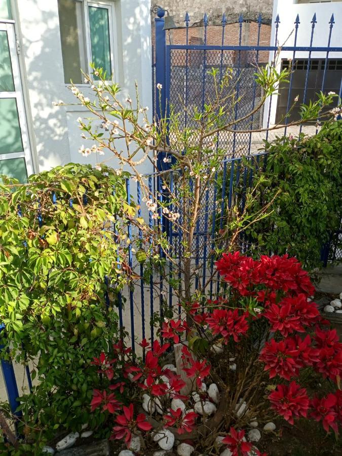 Milenio III B&B Querétaro Εξωτερικό φωτογραφία